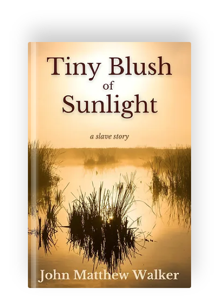 Tiny Blush of Sunlight by John Matthew Walker
